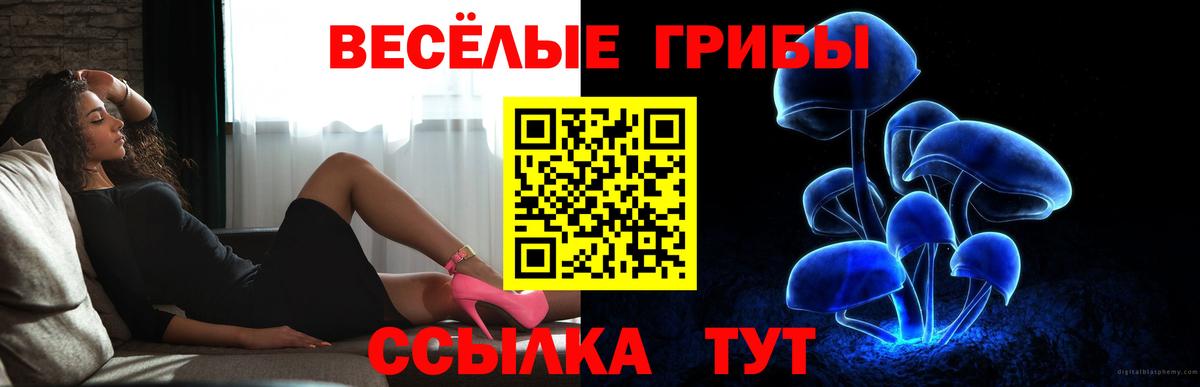 Богородск  Галлюциногенные грибы ЛСД  Вход с VPN 